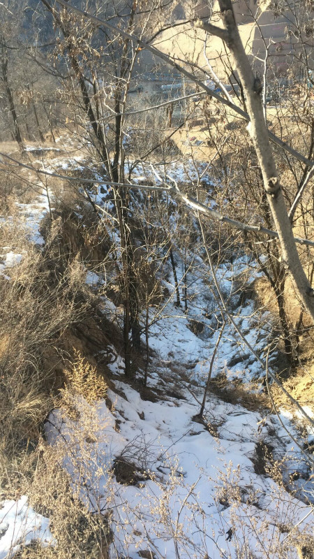 延安不愧是革命根据地