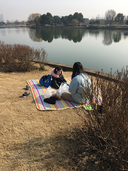 去附近公园晒太阳