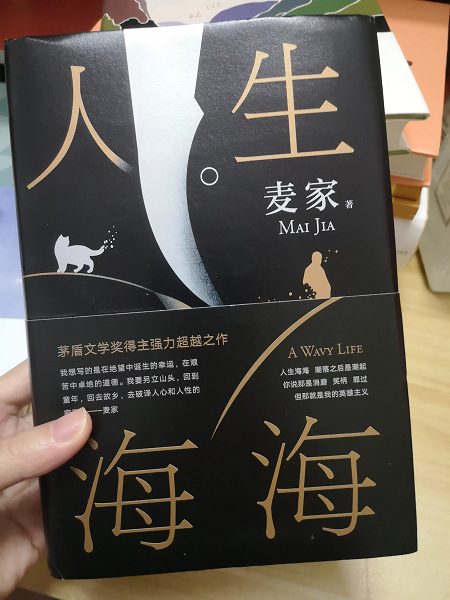 《云中记》和《人生海海》是去年的这个时候看的书
