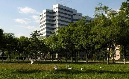 航天员返回地球后，为什么要被抬着走？