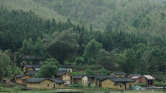 农村，一个让人想离开，又想回去的地方 第1张