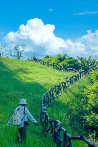 公园我熟｜8个武汉少人知道却绝美的小众公园