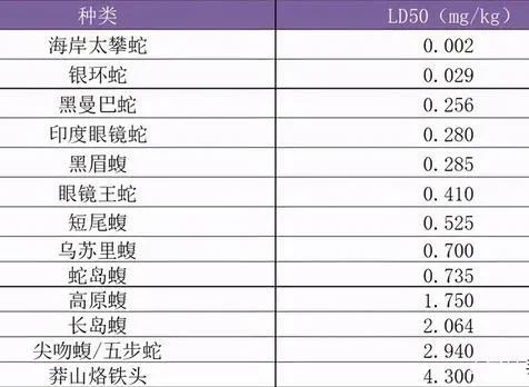 100万的莽山烙铁头，凭什么被称为“蛇中大熊猫”？ 第7张