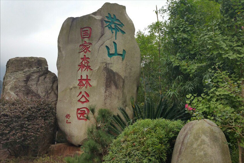 100万的莽山烙铁头，凭什么被称为“蛇中大熊猫”？