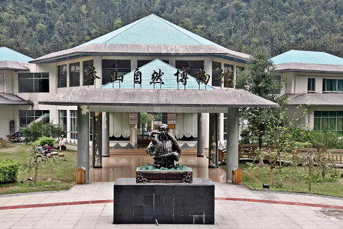 100万的莽山烙铁头，凭什么被称为“蛇中大熊猫”？