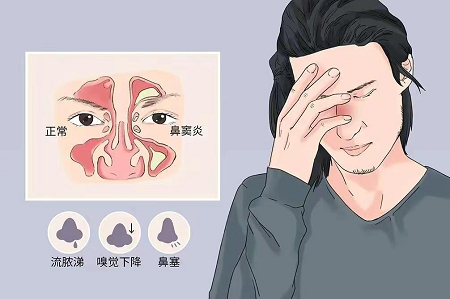 人体“无用”的5个器官：它们真的无用吗？