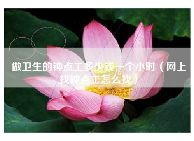 做卫生的钟点工多少钱一个小时？10-15元不等