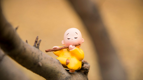 有的人拥有了很多东西，生活却更加的不安