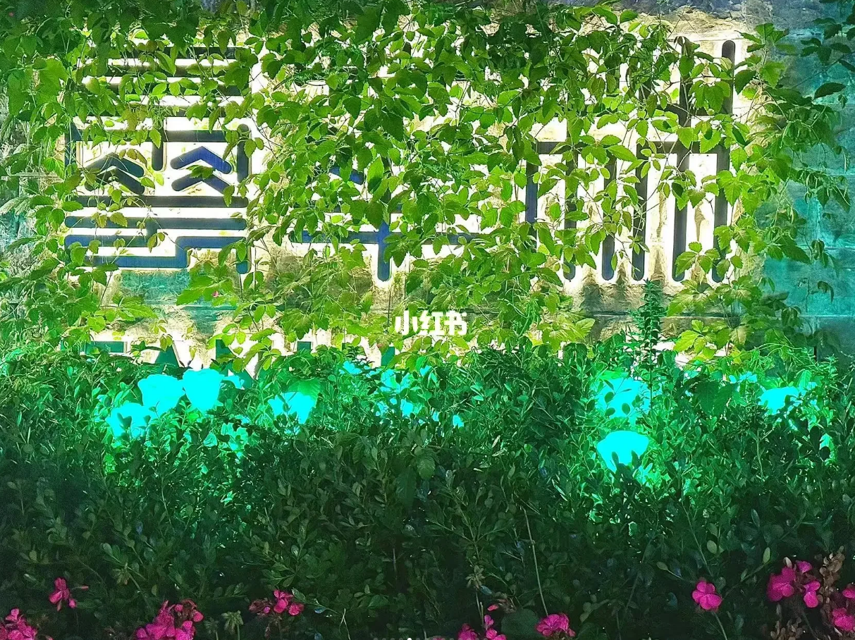 后悔去了武汉回来才知道这些事