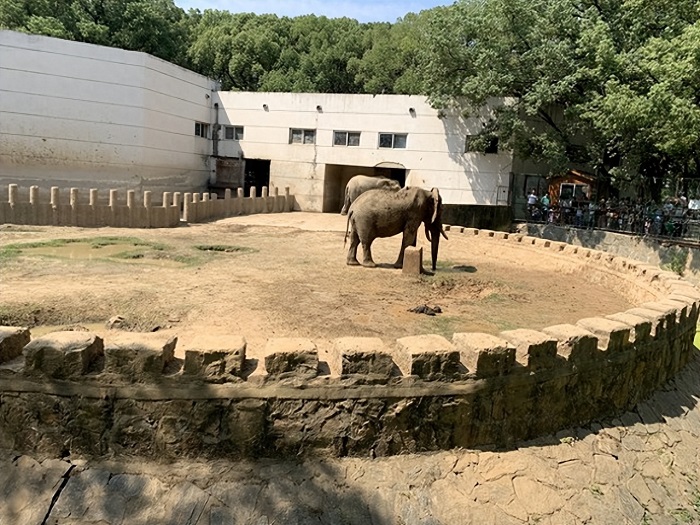 武汉动物园这个国庆长假为何如此火爆？ 第8张